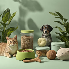 Hund und Katze – nachhaltiges Tierzubehör von Ökopfote